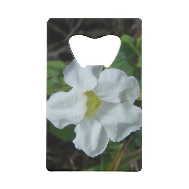White Tropical Flower Found on Fiji Wallet Bottle Opener (Front)