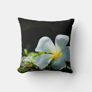 White tropical flower (frangipani) close up 2 throw pillow