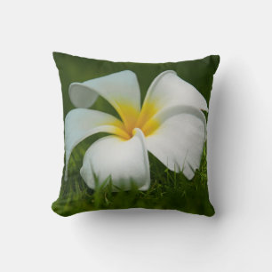 White tropical flower (frangipani) close up throw pillow