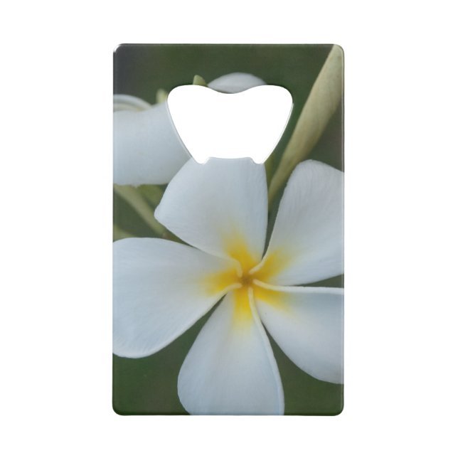 White Tropical Flower From Fiji Wallet Bottle Opener (Front)