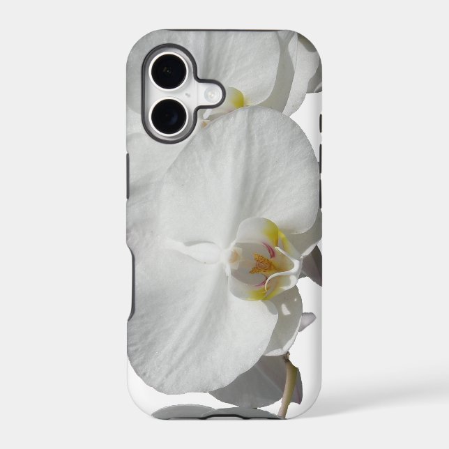 White Tropical Orchids (Back)