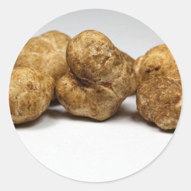 White truffles of the species tuber oligospermum. classic round sticker (Front)