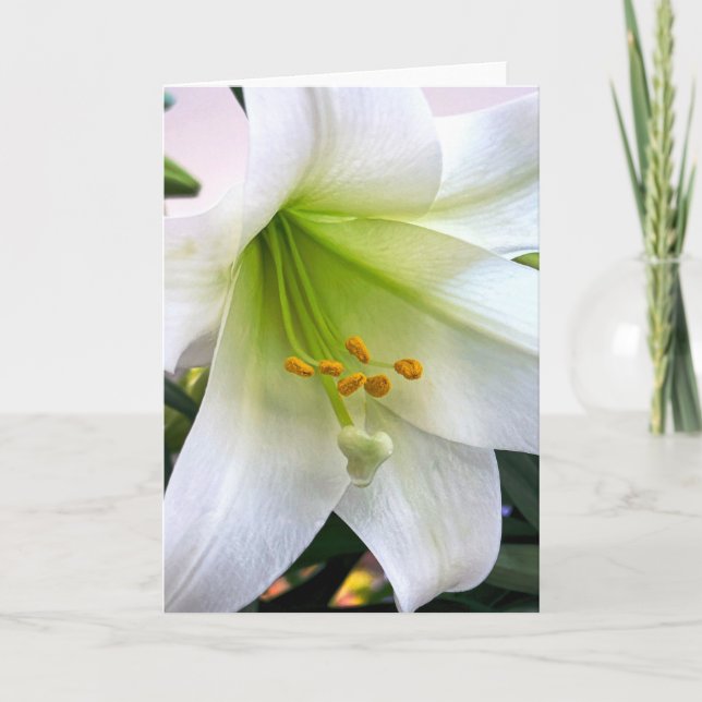 White Trumpet Lily  Thank You Card (Front)