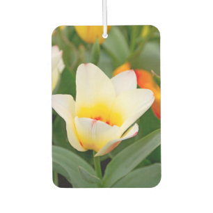 White Tulip Air Freshener