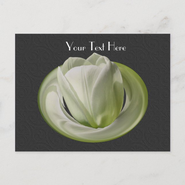 White Tulip Black Floral Customizable Postcard (Front)