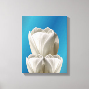 White Tulip Flowers   Canvas Print