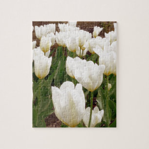 White Tulip Flowers Jigsaw Puzzle