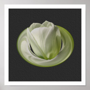White Tulip Petals Floral Art Poster