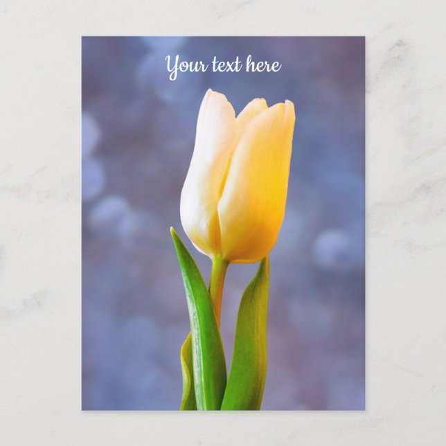 White Tulip Postcard (Front)