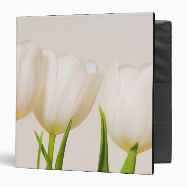 White tulips against a white background, binder (Front/Inside)