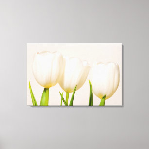 White tulips against a white background, canvas print
