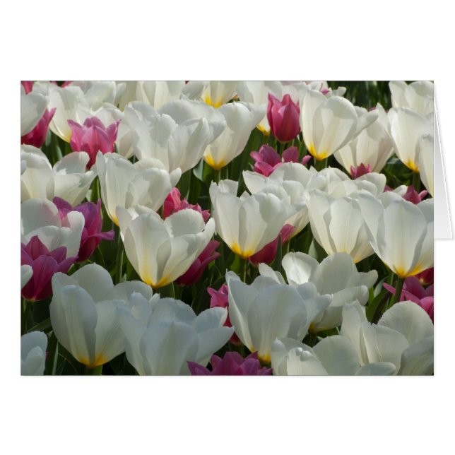 White Tulips Card (Front Horizontal)
