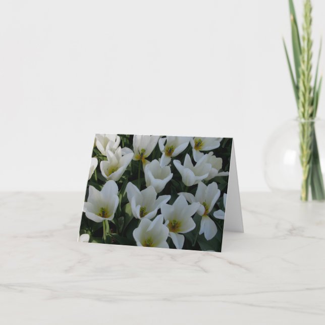 White Tulips Card (Front)