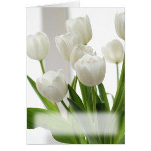 White Tulips card