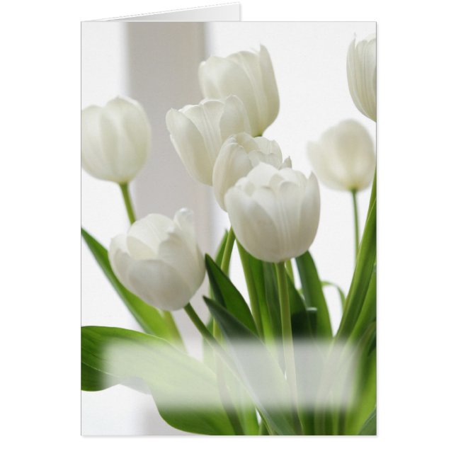 White Tulips card (Front)