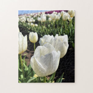 White Tulips in a Field, Woodburn, Oregon Jigsaw Puzzle