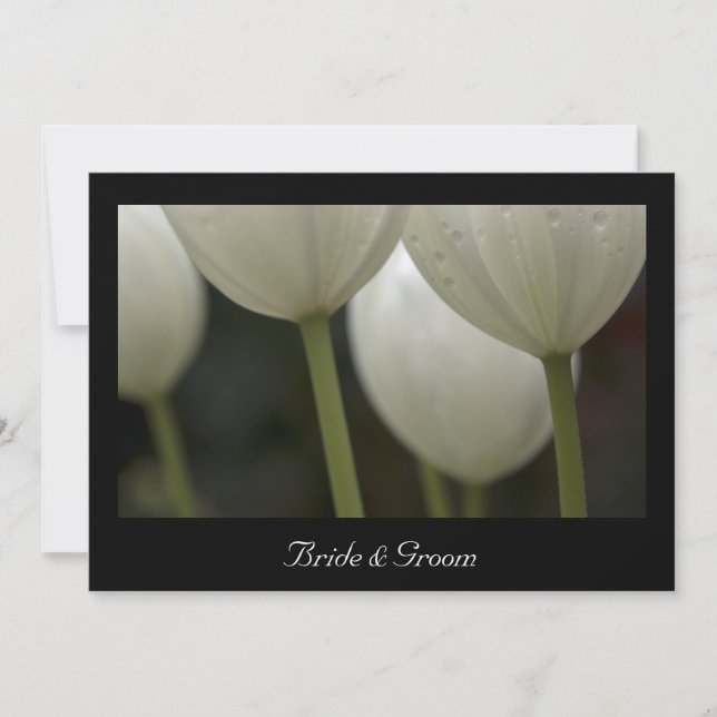 White Tulips Marriage / Elopement Announcement (Front)
