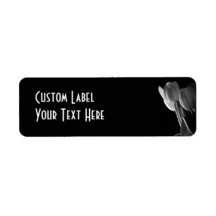 White Tulips Photo On Black Background