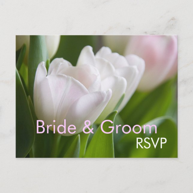 White Tulips • RSVP Postcard (Front)