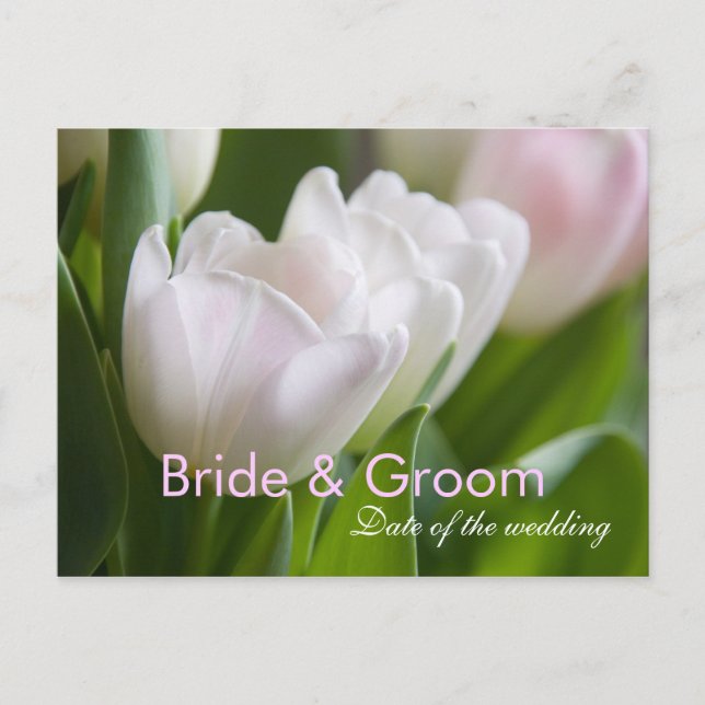 White Tulips • Save the Date Postcard (Front)
