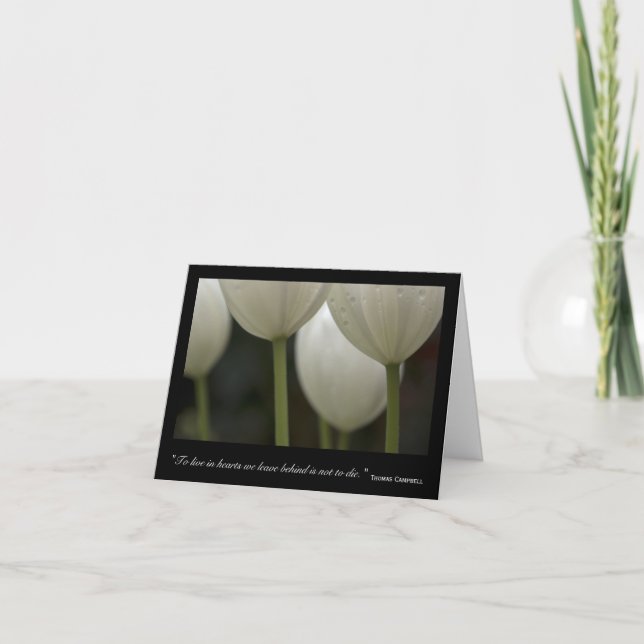 White Tulips Thank You for Your Sympathy (Front)