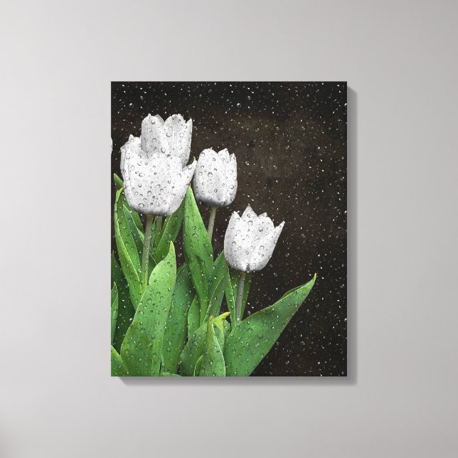 White Tulips with Raindrops Canvas Print (Front)