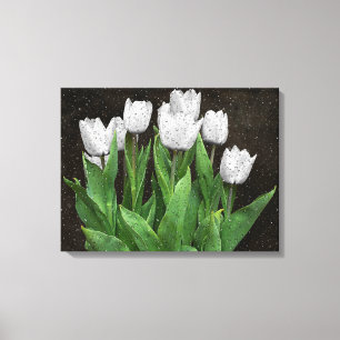 White Tulips with Raindrops on Glass Canvas Print