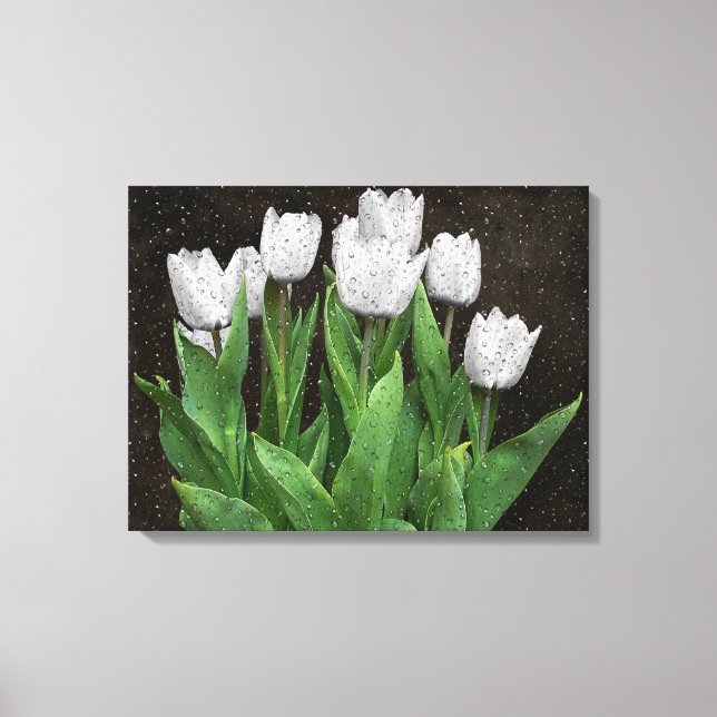 White Tulips with Raindrops on Glass Canvas Print (Front)