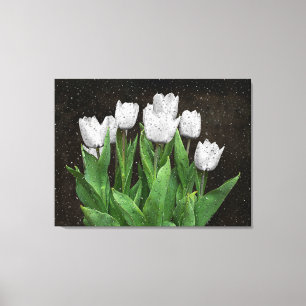 White Tulips with Raindrops on Glass   Canvas Print