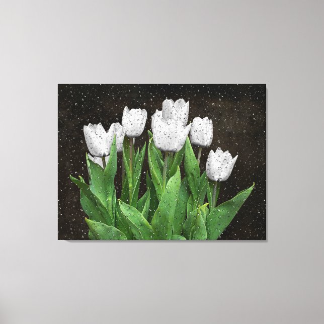 White Tulips with Raindrops on Glass   Canvas Print (Front)