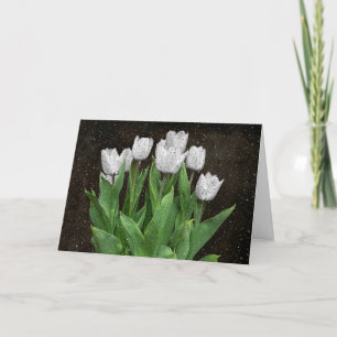 White Tulips with Raindrops Sympathy Card