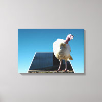 White Turkey Dimensional Popout Art,
