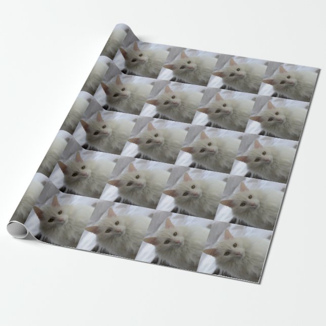 white turkish angora cat  wrapping paper (Unrolled)