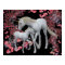 White Unicorn And Foal Fantasy Poster