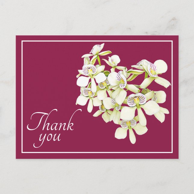 White Veined Orchids Crimson Background Thank You Postcard (Front)