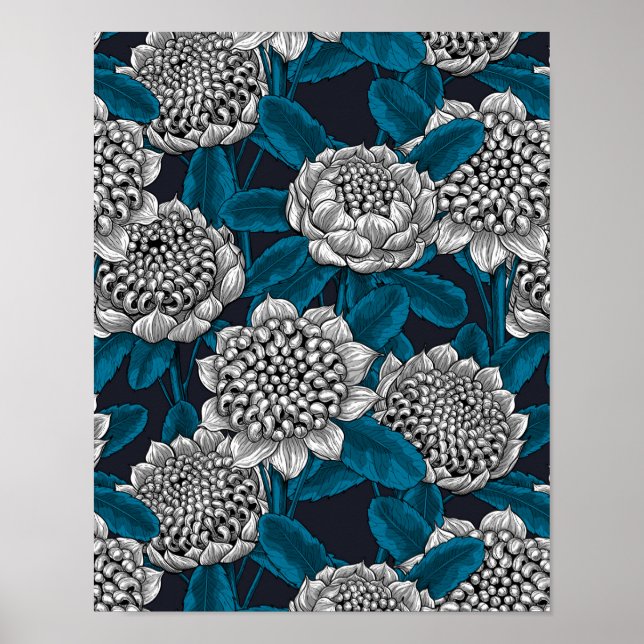 White waratah flowers poster (Front)