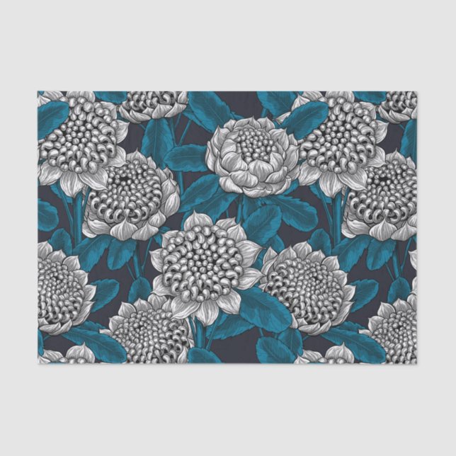 White waratah flowers tissue paper (Front)
