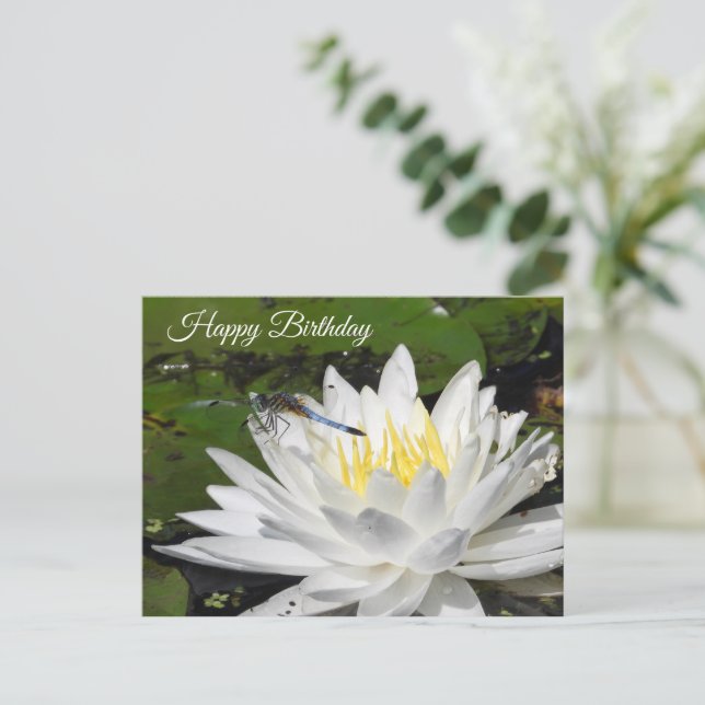 White Water Lily, Blue Dragonfly Birthday Postcard (Standing Front)