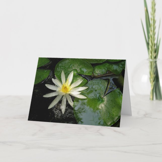 White Water Lily Card (Front)