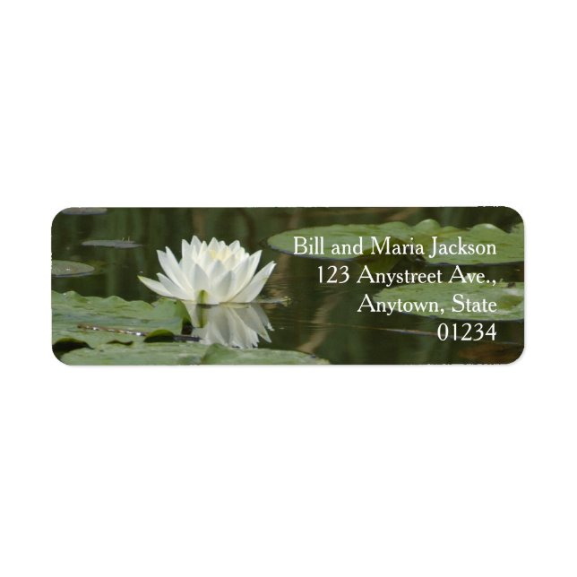 White Water Lily Flower Pads Reflection in Pond (Front)