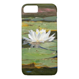 white water lily in pond Case-Mate iPhone case
