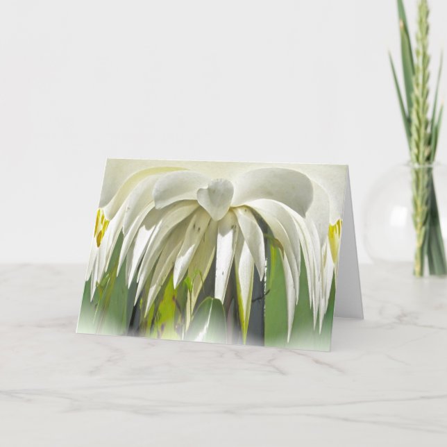 White Water Lily Note Card (Front)
