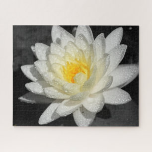 White Water Lily Photograph Jigsaw Puzzle