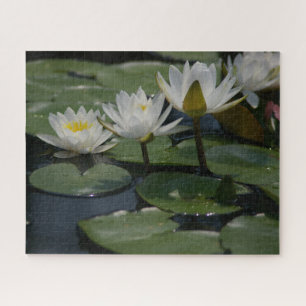 White Waterlilies Jigsaw Puzzle