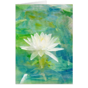 White Waterlily Blossom