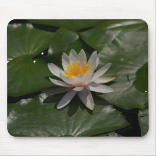 White Waterlily Mousepad