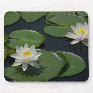 White Waterlily Mousepad