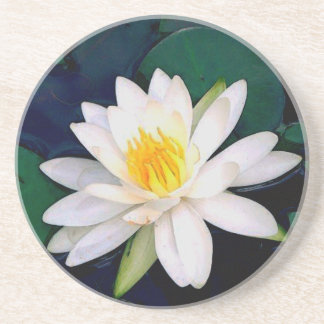 white waterlily sandstone coaster