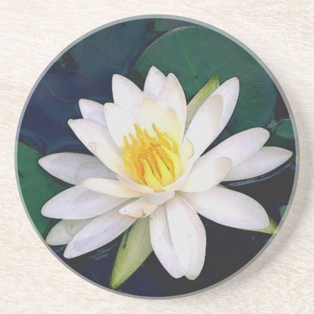 white waterlily sandstone coaster (Front)