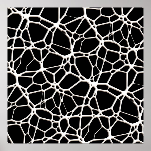 White Web Texture + your bachgr. & ideas Poster (Front)